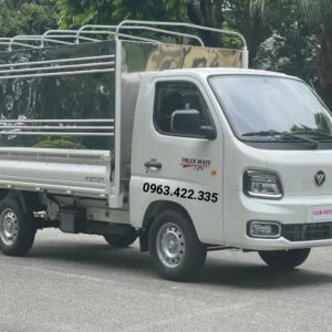 Foton T25