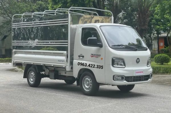 Foton T25