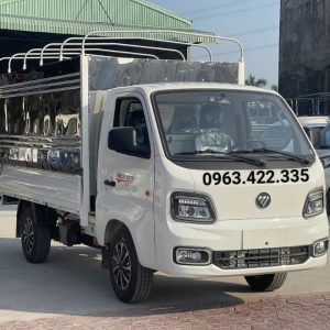 Foton T25