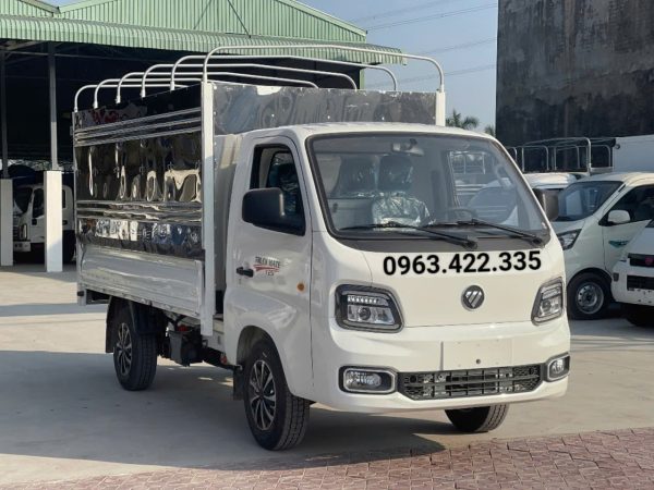 Foton T25