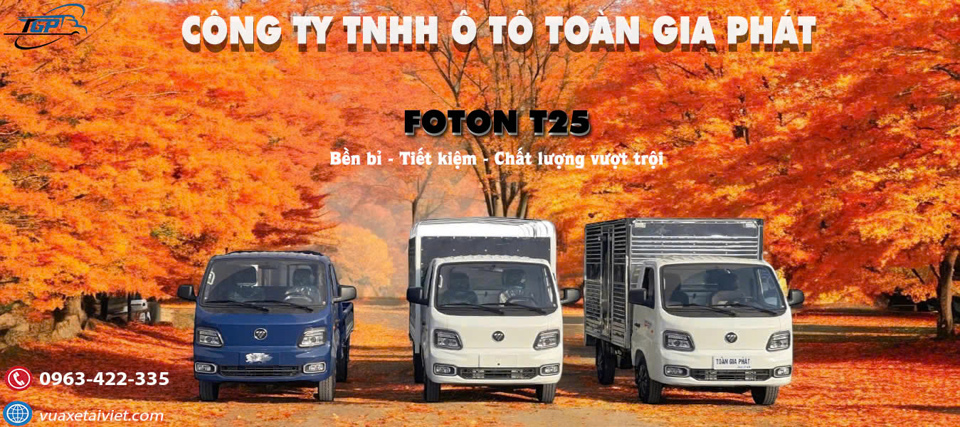 Foton T25